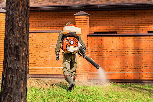 Trusted Ant Control service in Colorado City, CO - Nex Pest Control